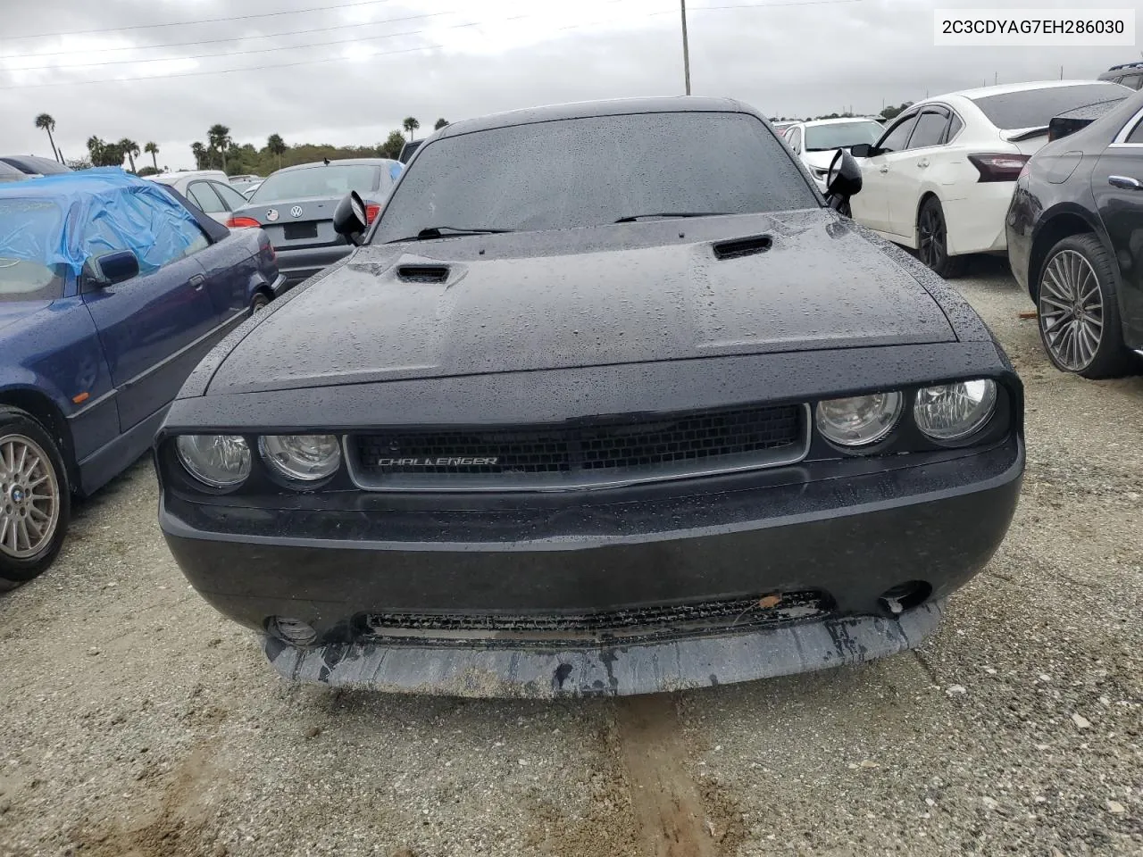 2014 Dodge Challenger Sxt VIN: 2C3CDYAG7EH286030 Lot: 75094474