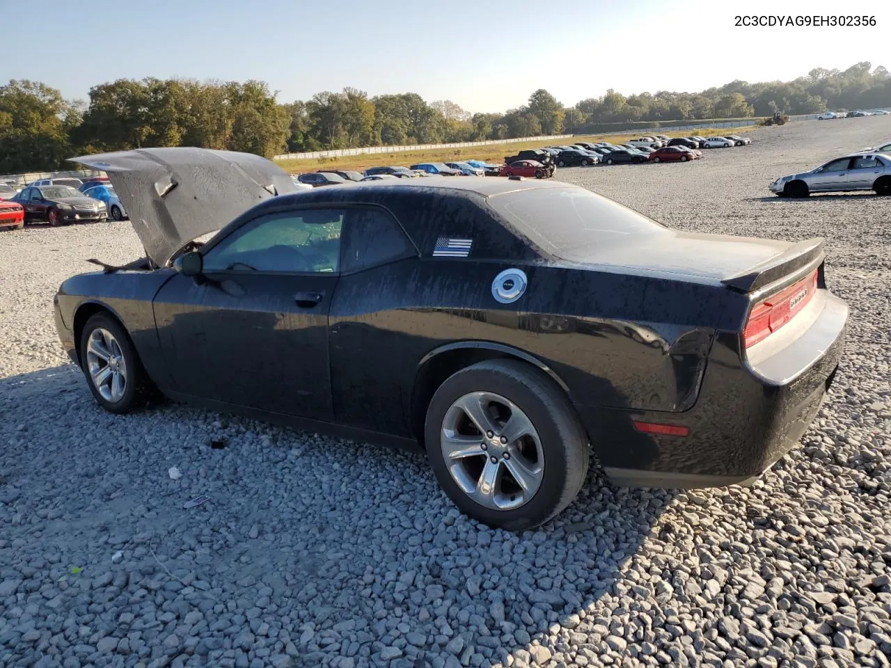 2014 Dodge Challenger Sxt VIN: 2C3CDYAG9EH302356 Lot: 77893344