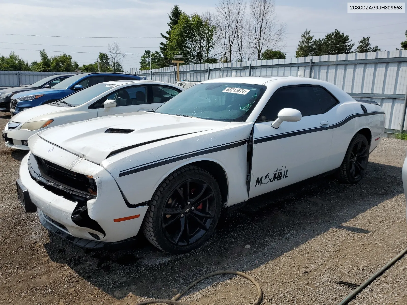 2018 Dodge Challenger Sxt VIN: 2C3CDZAG9JH309663 Lot: 65215574