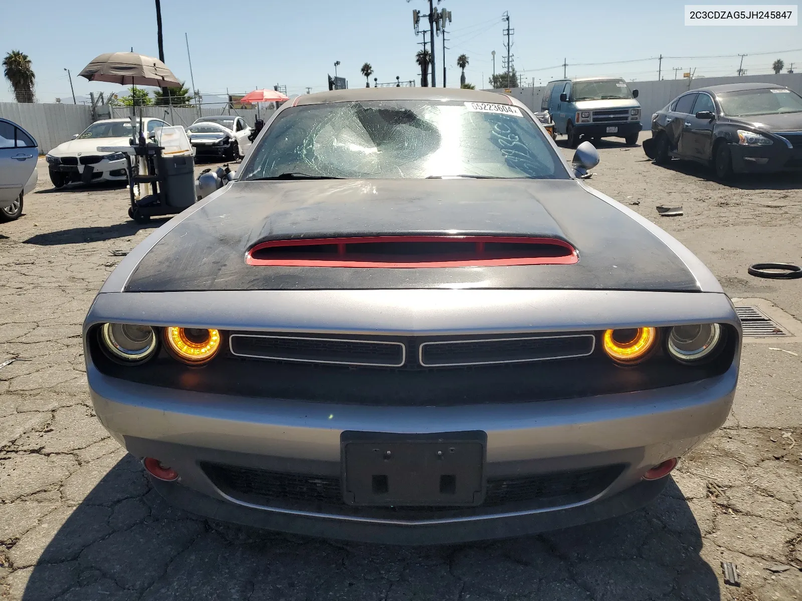 2018 Dodge Challenger Sxt VIN: 2C3CDZAG5JH245847 Lot: 65223604