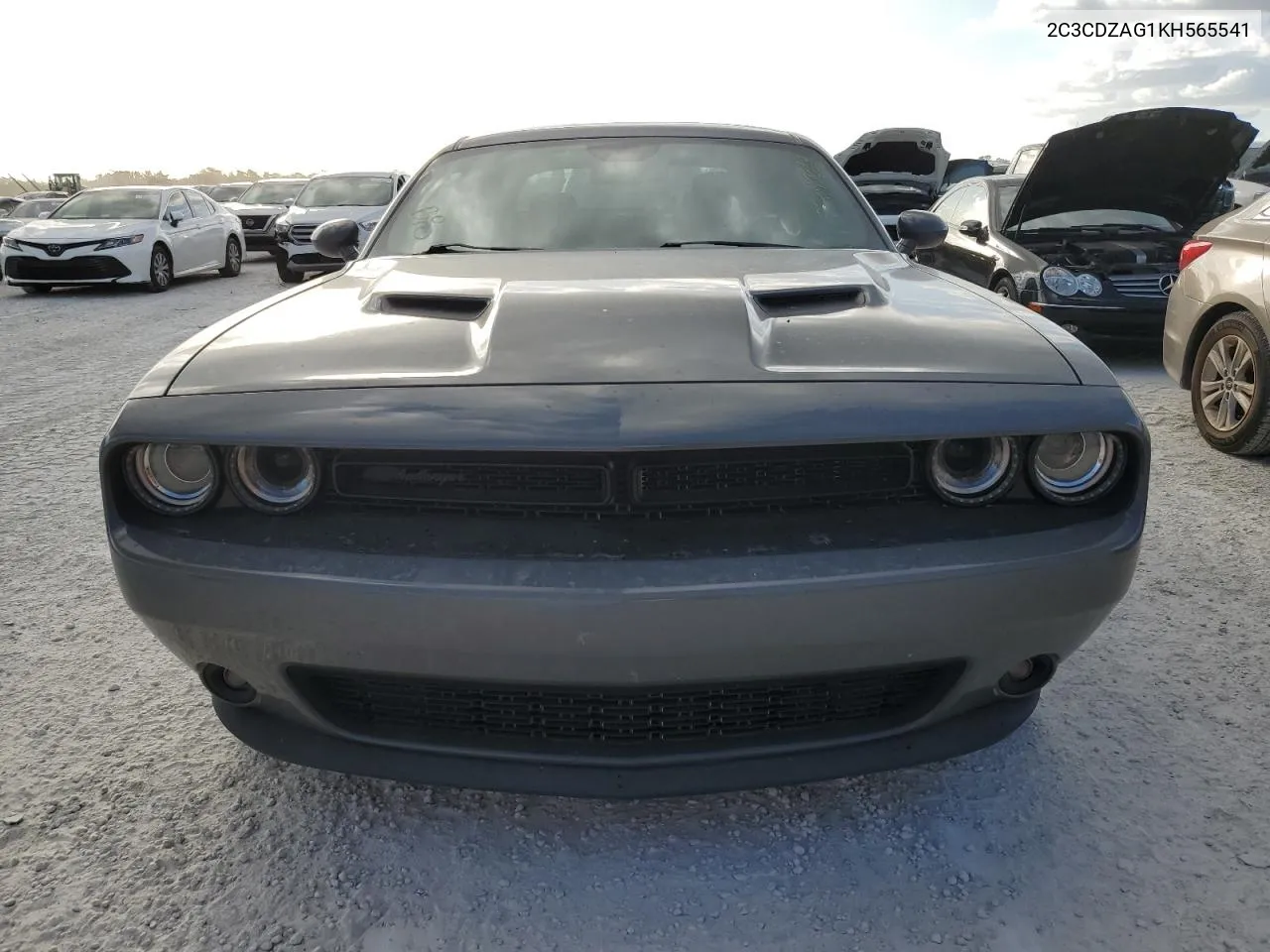 2019 Dodge Challenger Sxt VIN: 2C3CDZAG1KH565541 Lot: 77247064