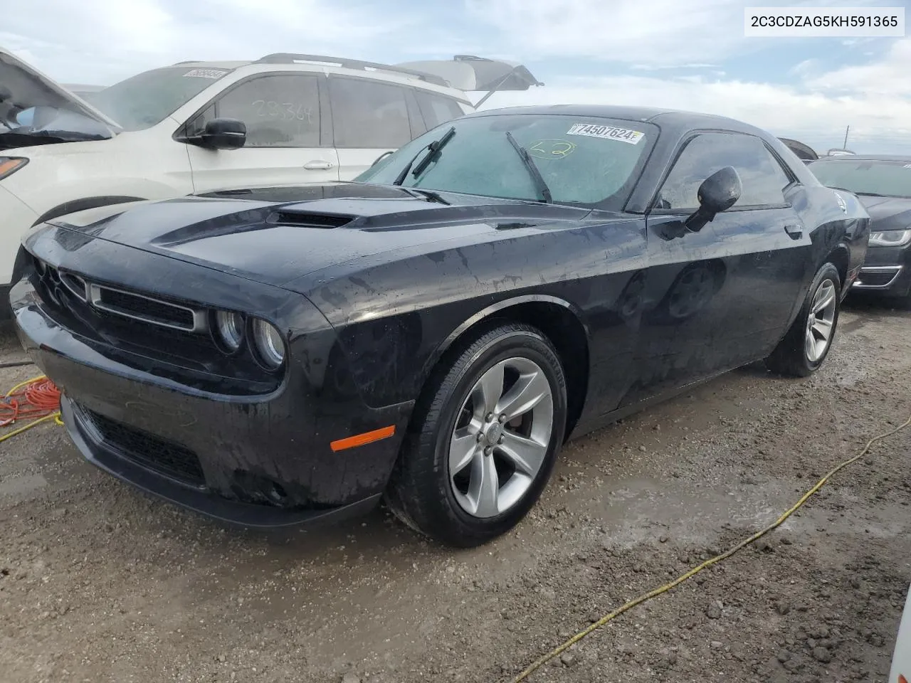 2019 Dodge Challenger Sxt VIN: 2C3CDZAG5KH591365 Lot: 80329034