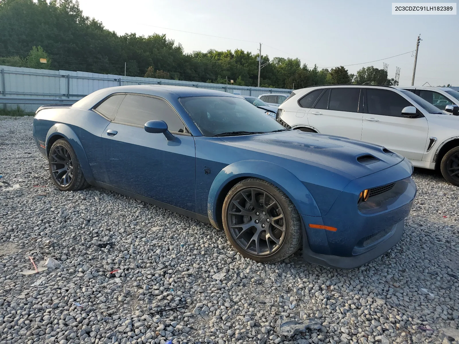 2020 Dodge Challenger Srt Hellcat VIN: 2C3CDZC91LH182389 Lot: 64549884