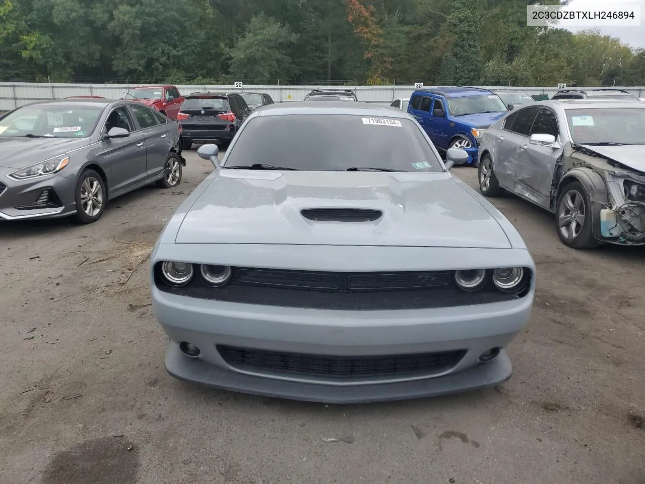 2020 Dodge Challenger R/T VIN: 2C3CDZBTXLH246894 Lot: 71963134