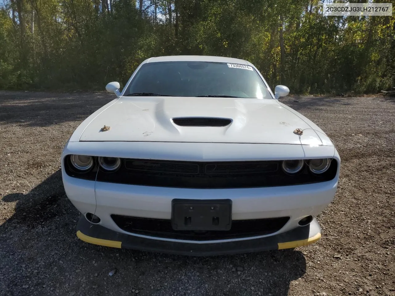 2020 Dodge Challenger Gt VIN: 2C3CDZJG3LH212767 Lot: 73366574