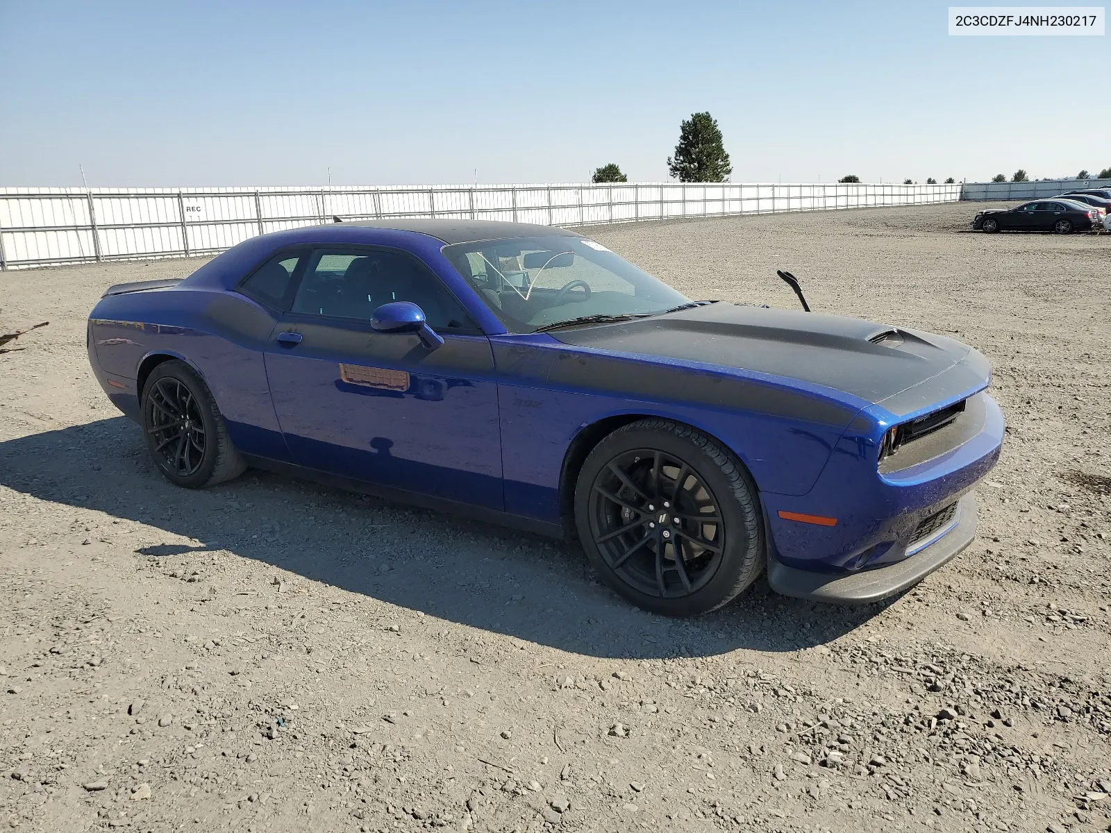 2022 Dodge Challenger R/T Scat Pack VIN: 2C3CDZFJ4NH230217 Lot: 67365794