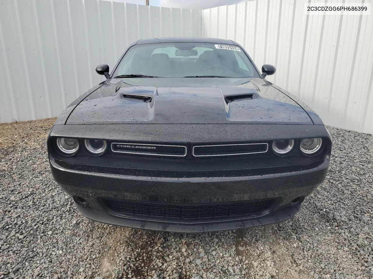 2C3CDZGG6PH686399 2023 Dodge Challenger Sxt