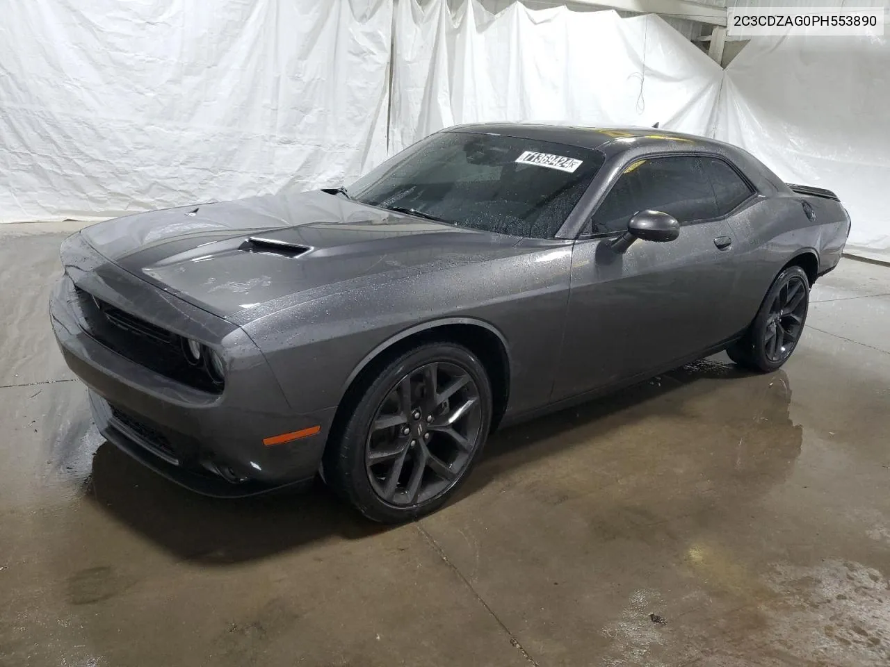 2023 Dodge Challenger Sxt VIN: 2C3CDZAG0PH553890 Lot: 71369424