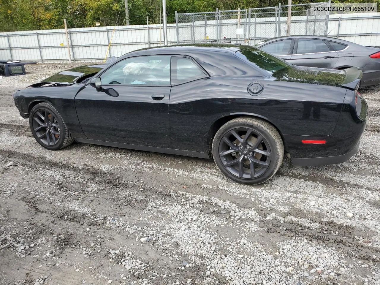 2023 Dodge Challenger Gt VIN: 2C3CDZJG8PH665109 Lot: 73556424