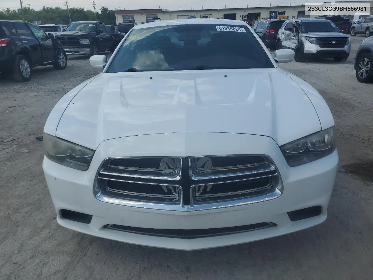 2011 Dodge Charger VIN: 2B3CL3CG9BH566981 Lot: 61019824