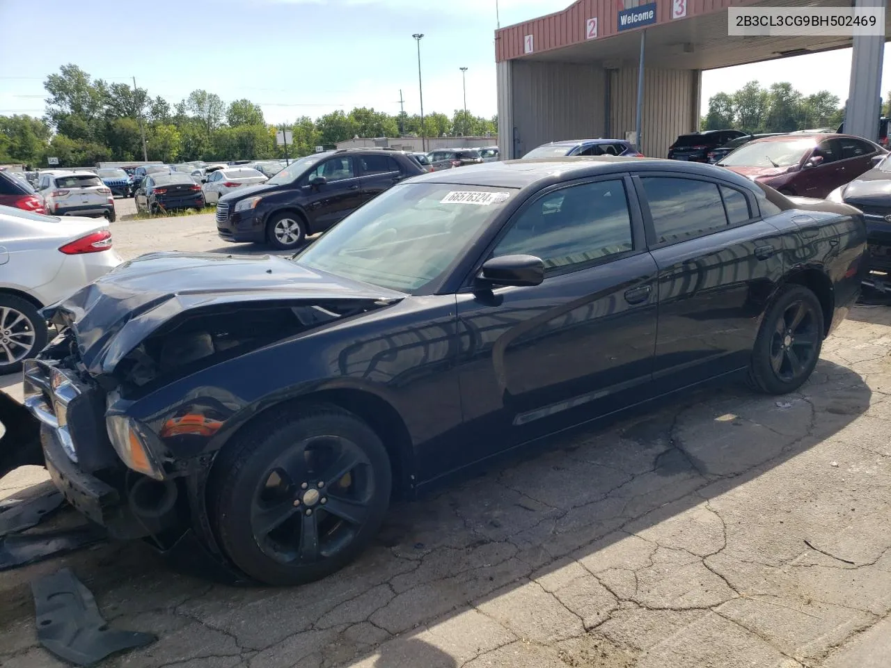 2011 Dodge Charger VIN: 2B3CL3CG9BH502469 Lot: 66576324