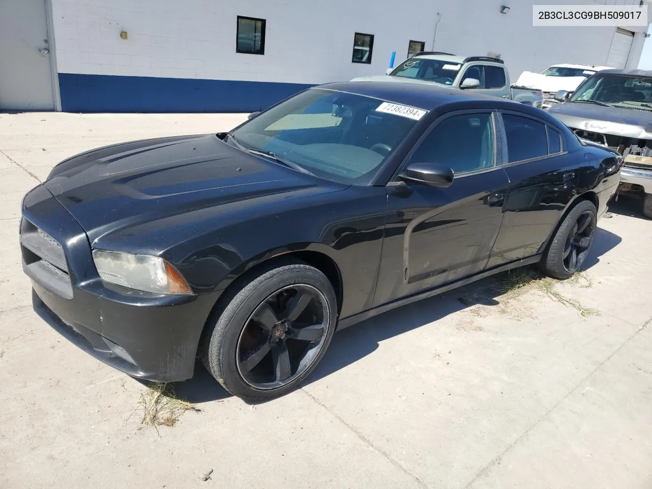 2B3CL3CG9BH509017 2011 Dodge Charger