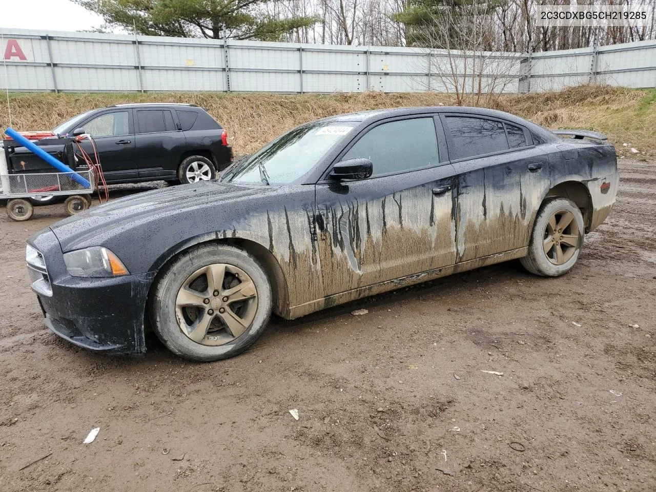 2012 Dodge Charger Se VIN: 2C3CDXBG5CH219285 Lot: 48424844