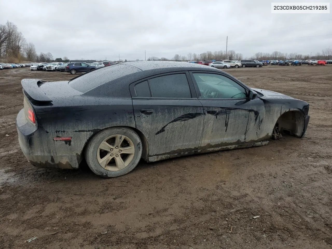 2012 Dodge Charger Se VIN: 2C3CDXBG5CH219285 Lot: 48424844