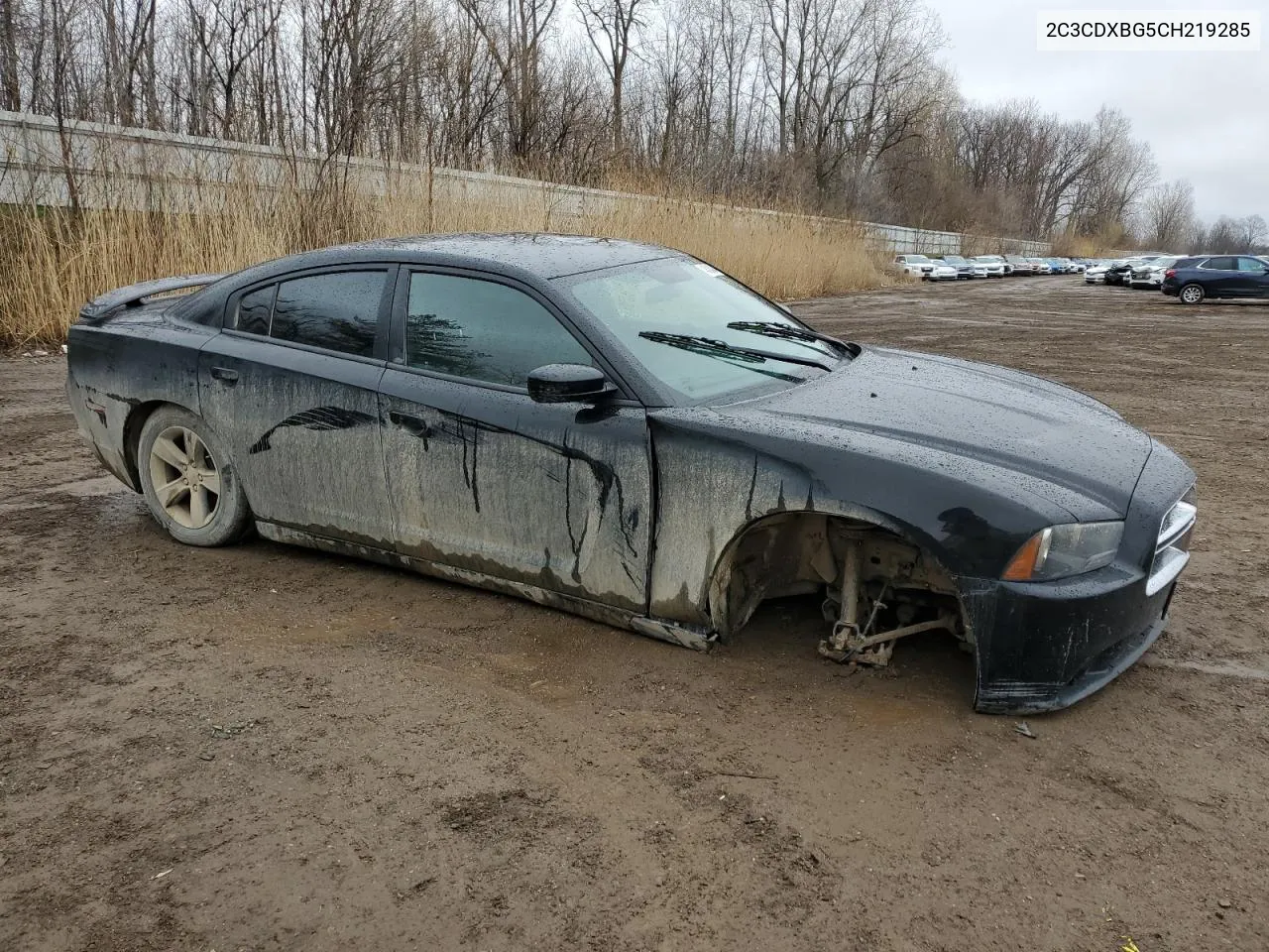 2012 Dodge Charger Se VIN: 2C3CDXBG5CH219285 Lot: 48424844