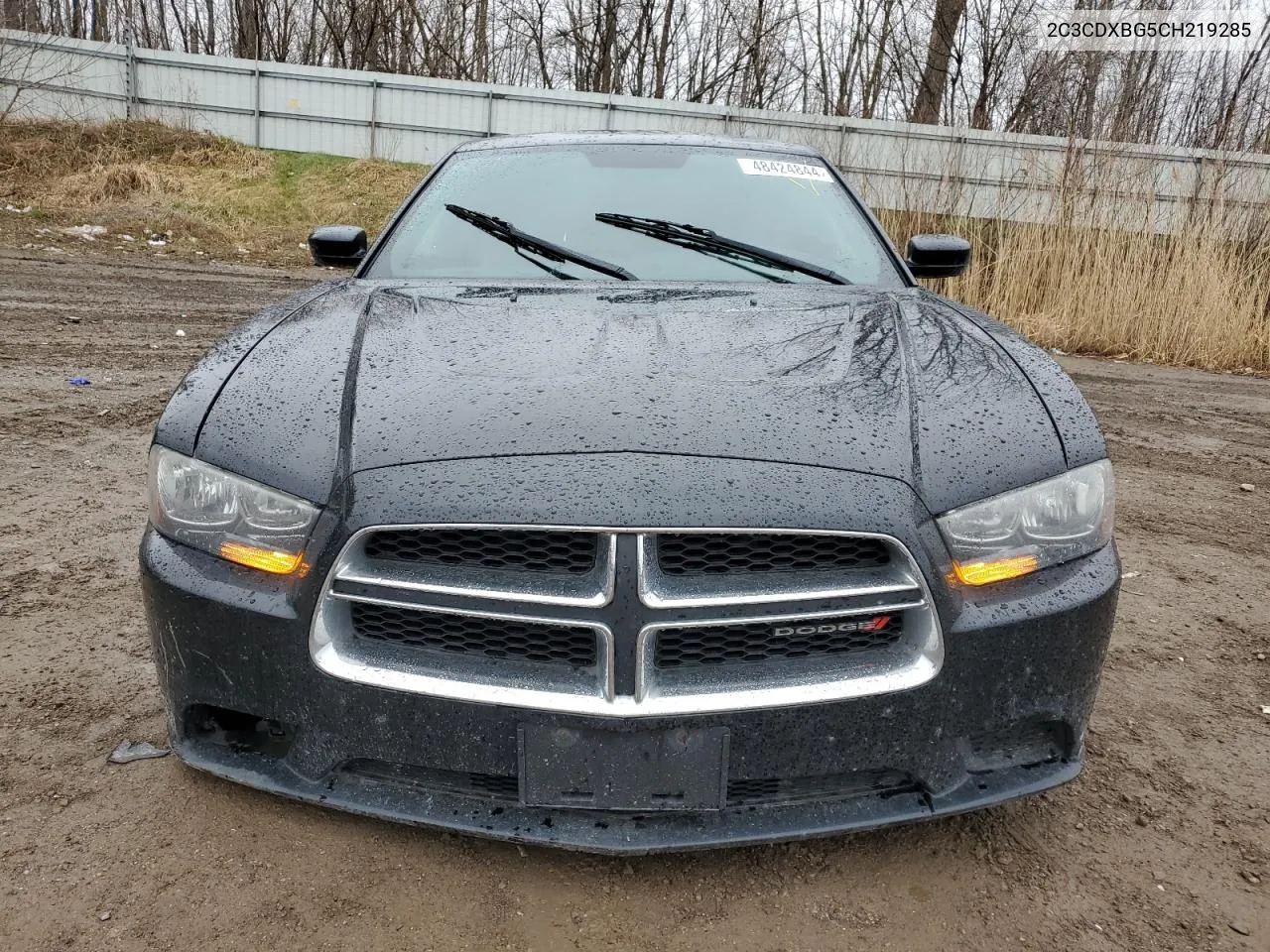 2012 Dodge Charger Se VIN: 2C3CDXBG5CH219285 Lot: 48424844