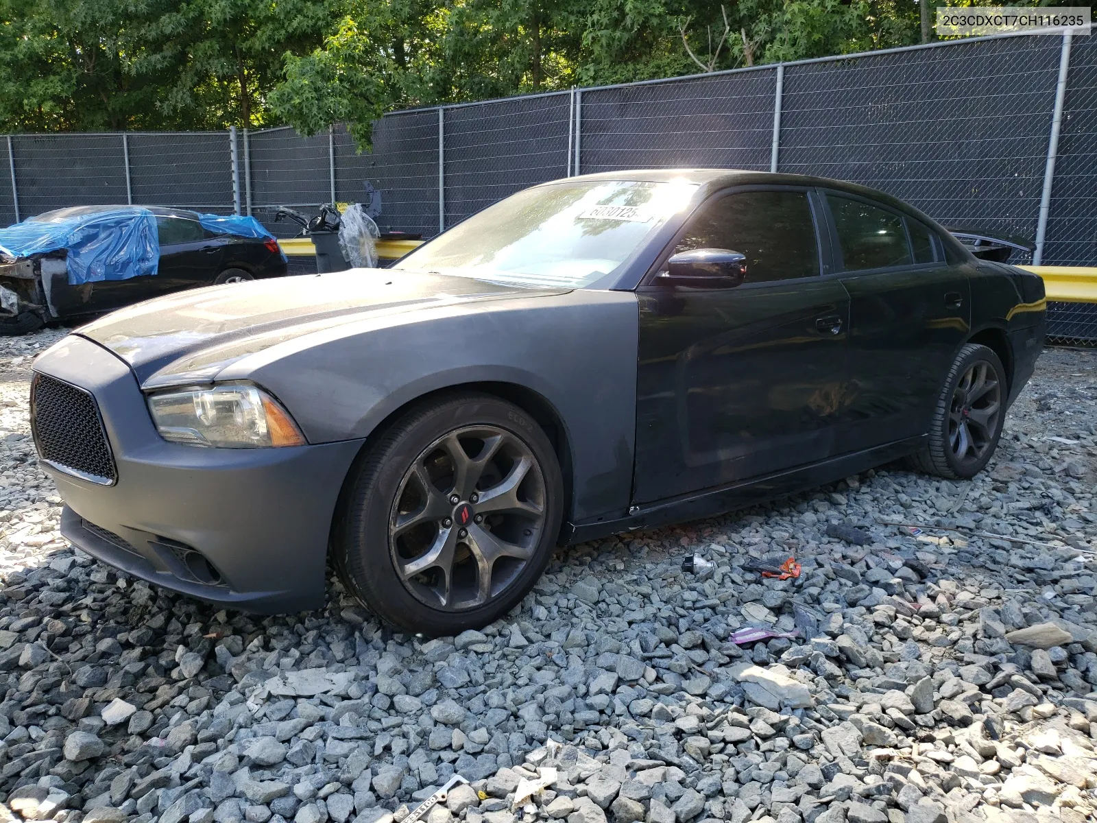 2012 Dodge Charger R/T VIN: 2C3CDXCT7CH116235 Lot: 60301254