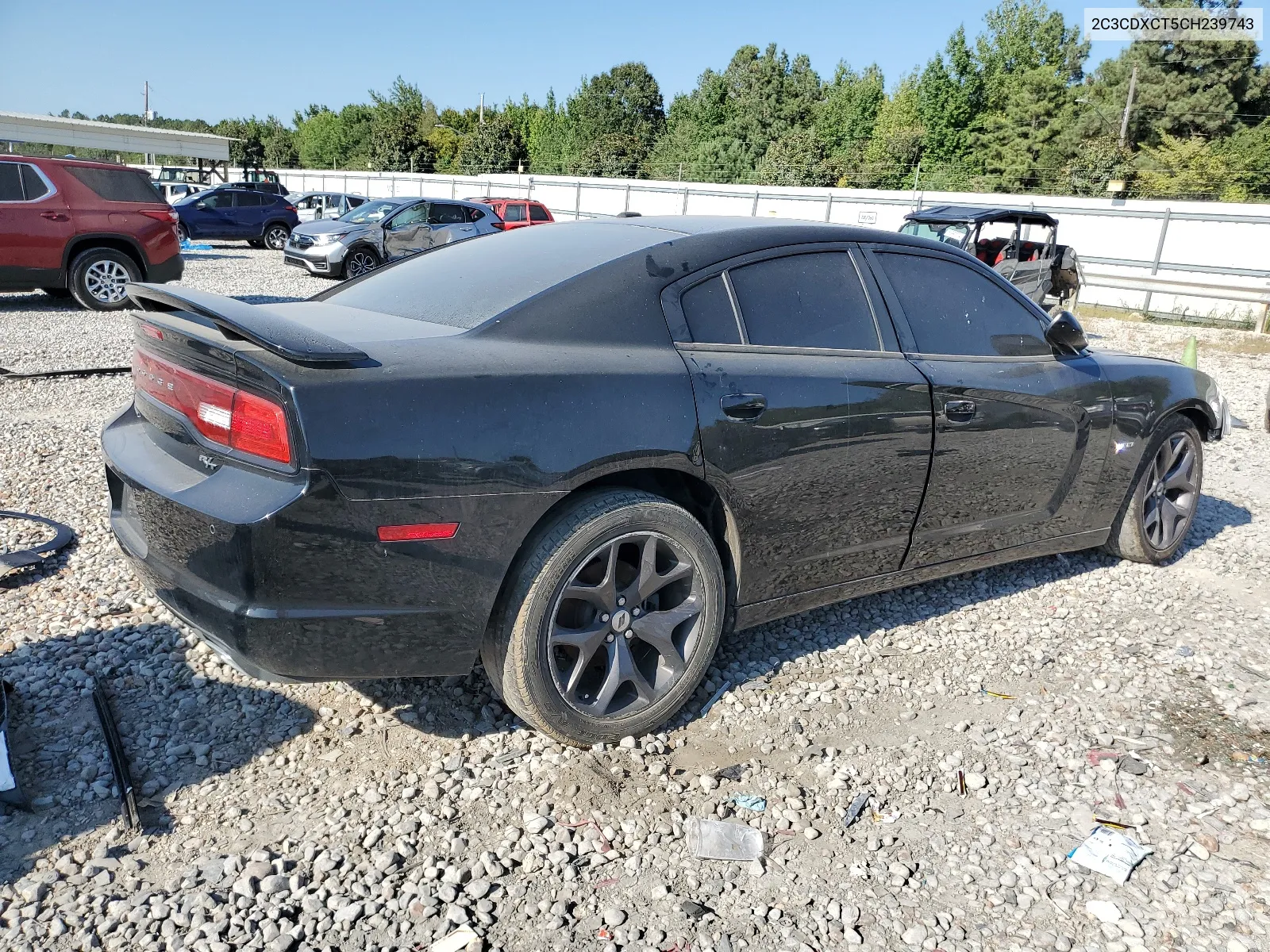 2012 Dodge Charger R/T VIN: 2C3CDXCT5CH239743 Lot: 67444954