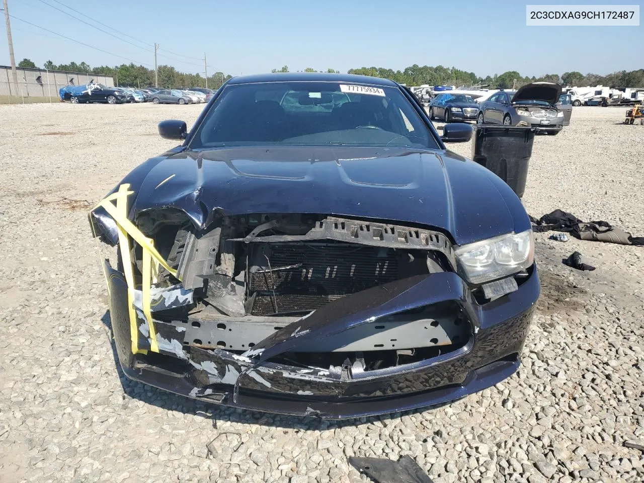 2012 Dodge Charger Police VIN: 2C3CDXAG9CH172487 Lot: 77775934