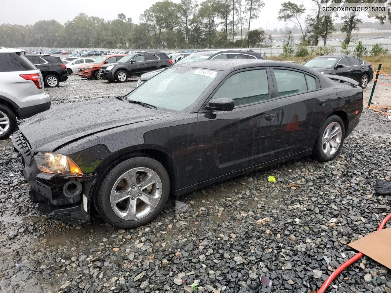 2012 Dodge Charger Se VIN: 2C3CDXBG3CH215803 Lot: 78888784