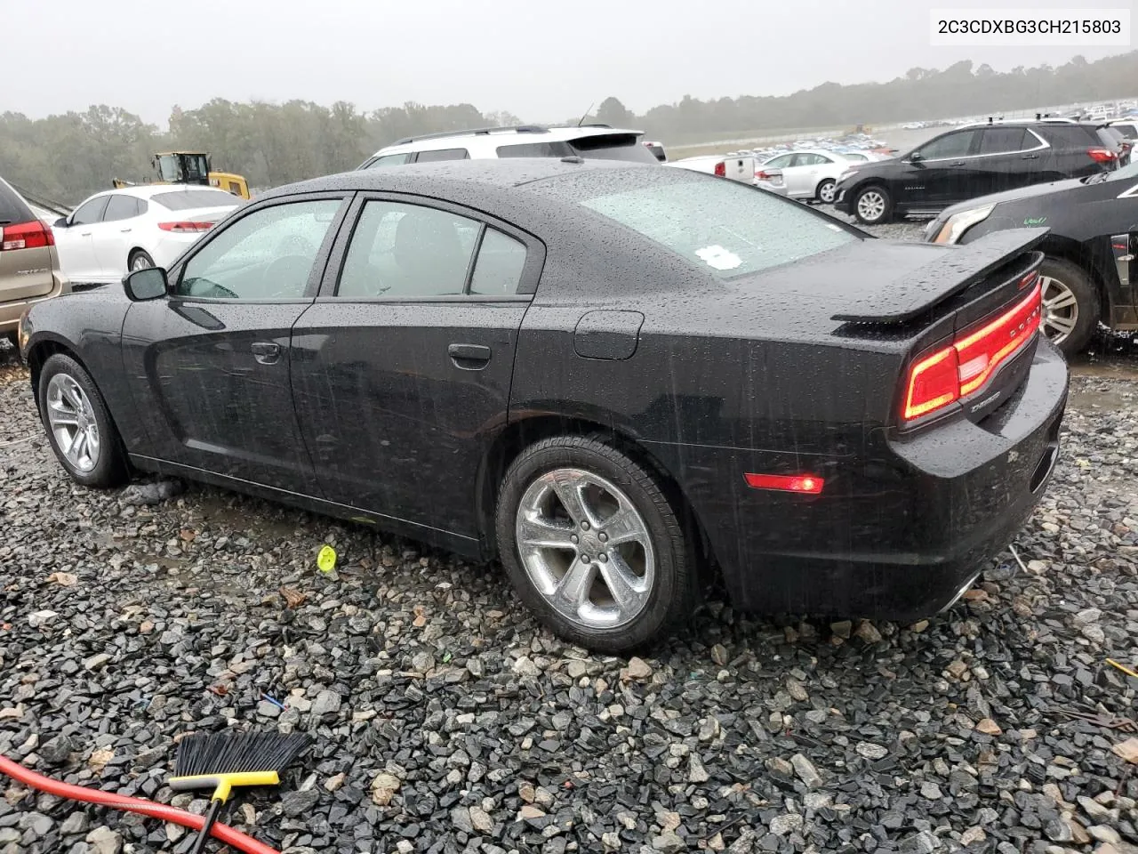 2012 Dodge Charger Se VIN: 2C3CDXBG3CH215803 Lot: 78888784