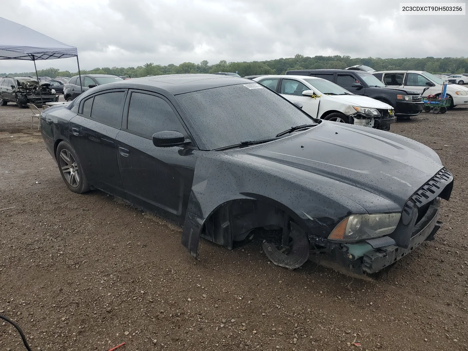 2013 Dodge Charger R/T VIN: 2C3CDXCT9DH503256 Lot: 66662573