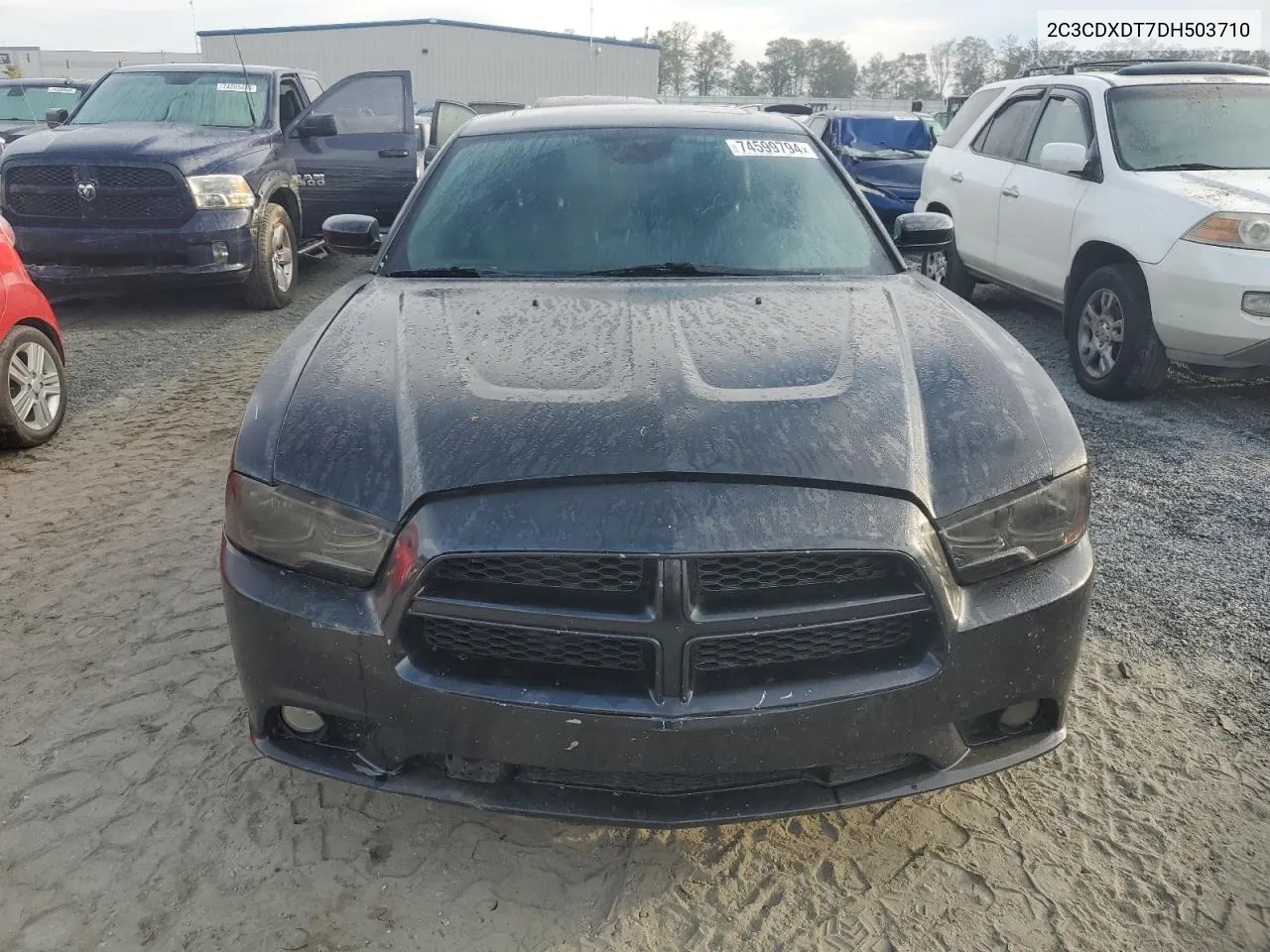 2013 Dodge Charger R/T VIN: 2C3CDXDT7DH503710 Lot: 74599794