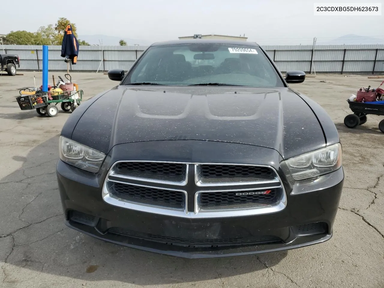 2013 Dodge Charger Se VIN: 2C3CDXBG5DH623673 Lot: 79209654