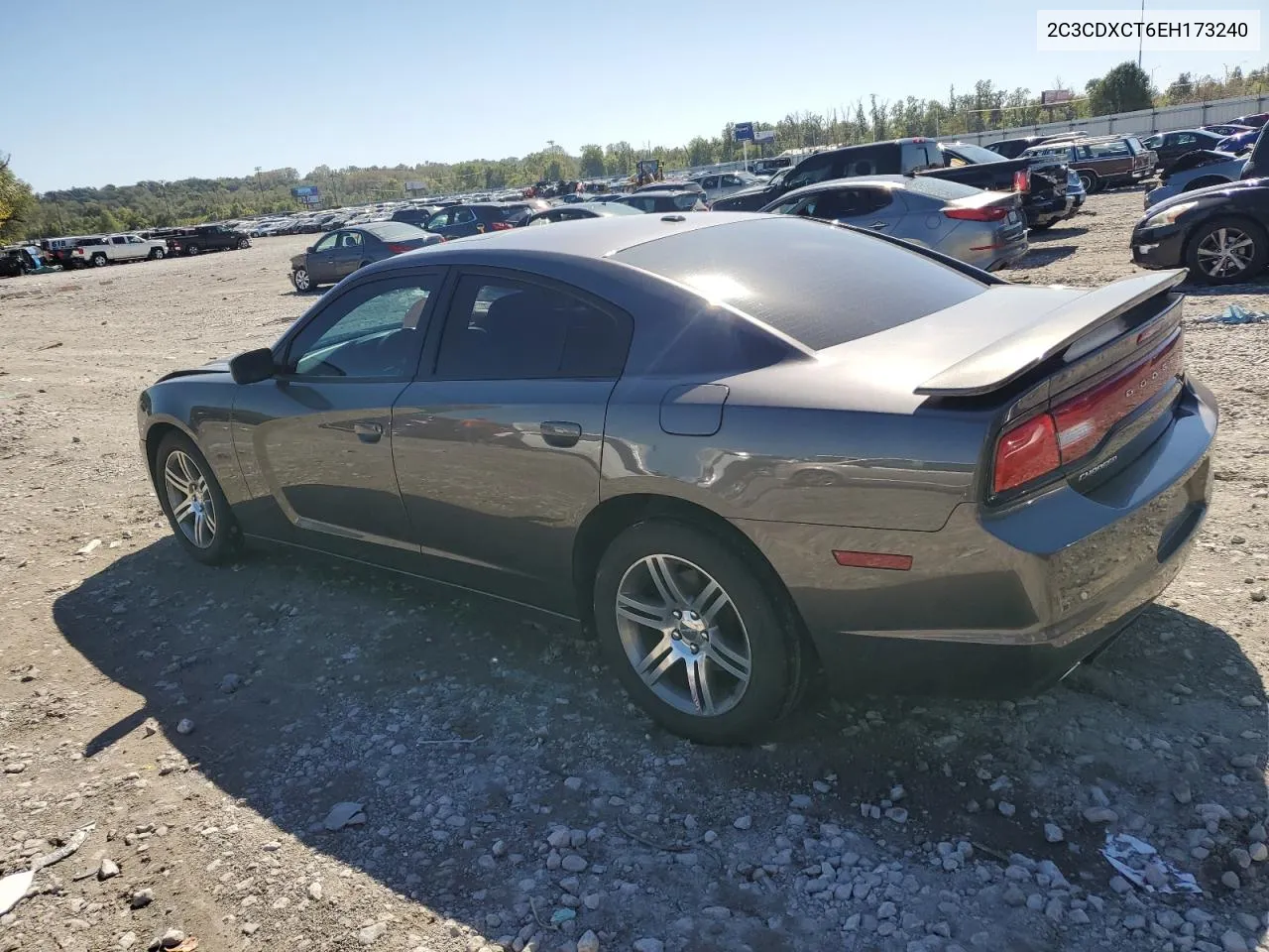 2014 Dodge Charger R/T VIN: 2C3CDXCT6EH173240 Lot: 73976874