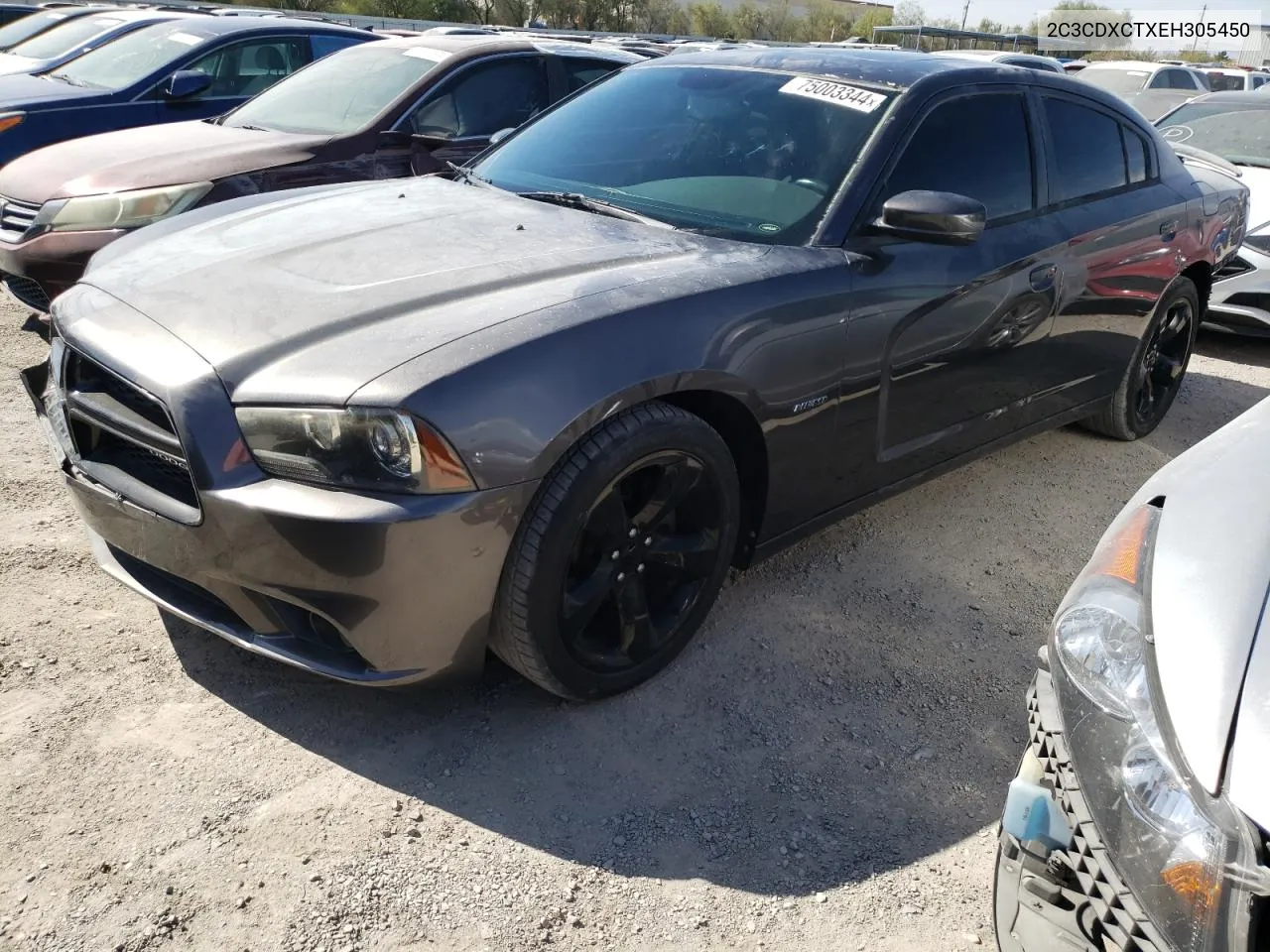 2014 Dodge Charger R/T VIN: 2C3CDXCTXEH305450 Lot: 75003344