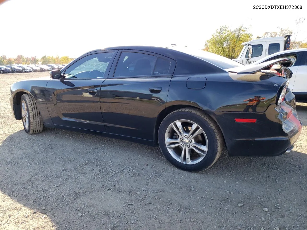 2014 Dodge Charger R/T VIN: 2C3CDXDTXEH372368 Lot: 77312234