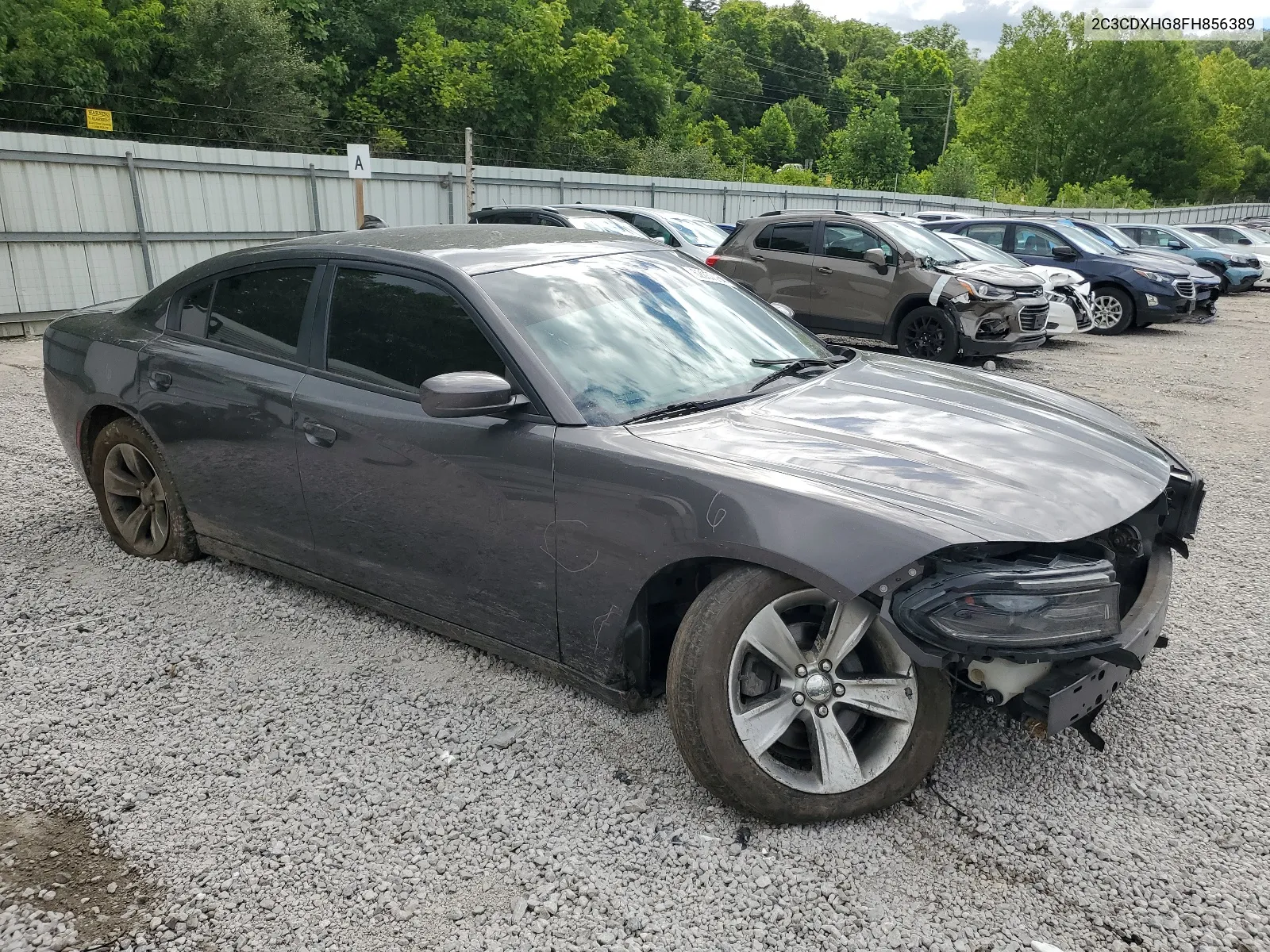 2015 Dodge Charger Sxt VIN: 2C3CDXHG8FH856389 Lot: 62037254