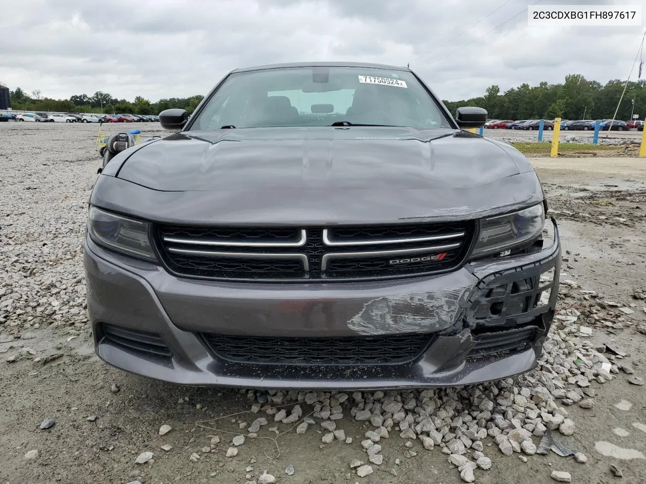 2015 Dodge Charger Se VIN: 2C3CDXBG1FH897617 Lot: 71750924