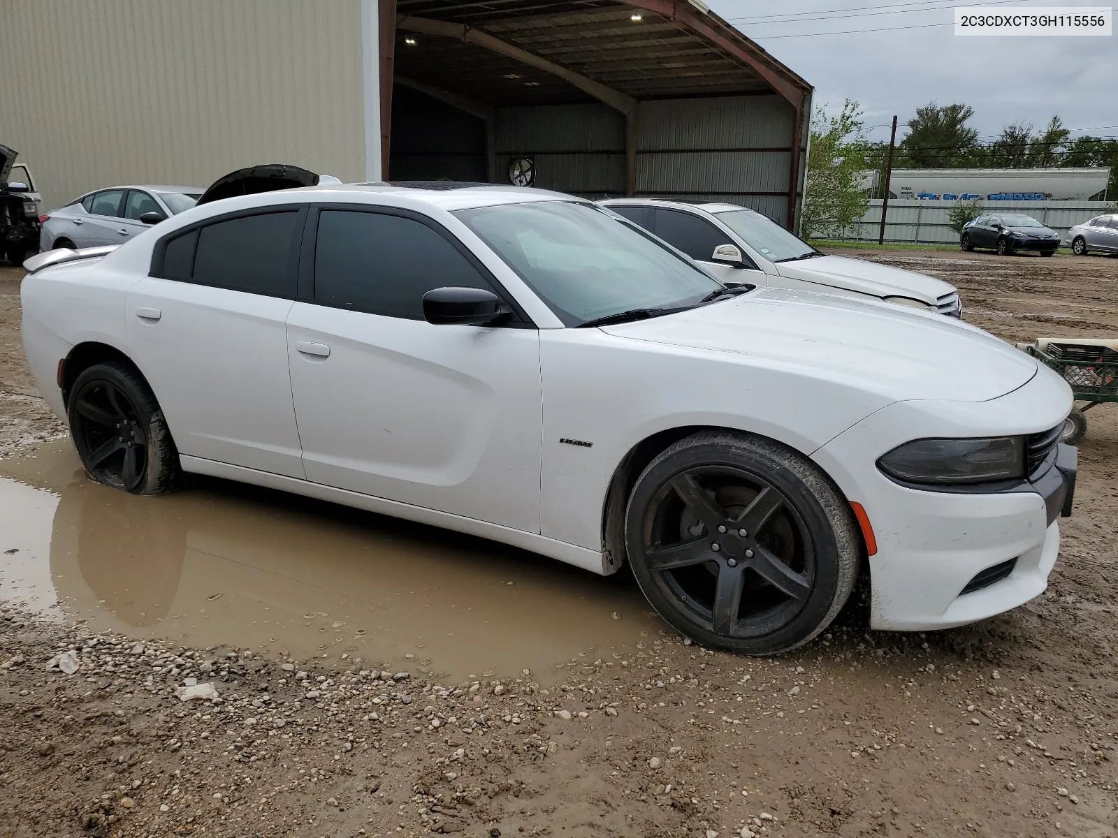 2016 Dodge Charger R/T VIN: 2C3CDXCT3GH115556 Lot: 64399404