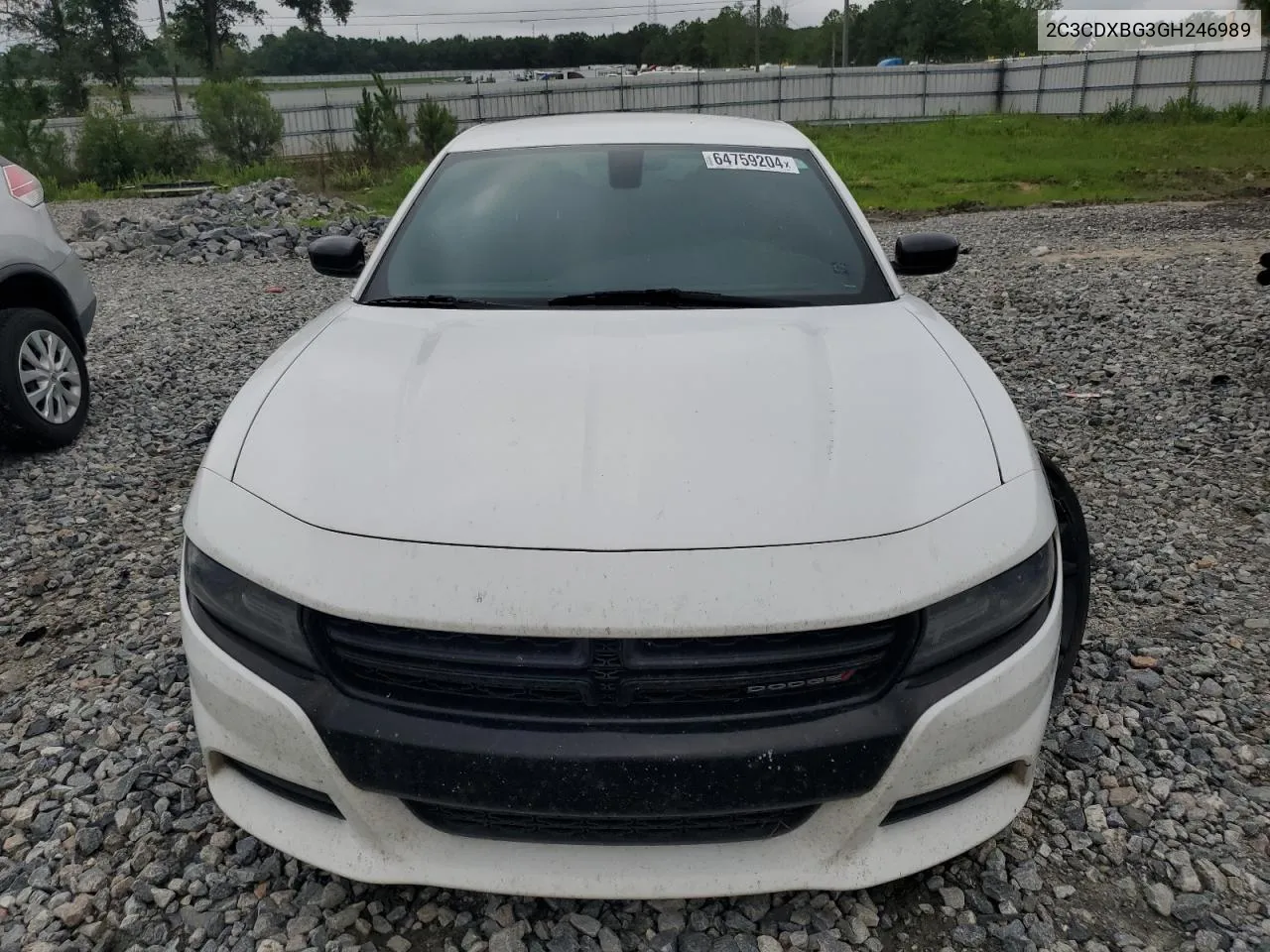 2C3CDXBG3GH246989 2016 Dodge Charger Se