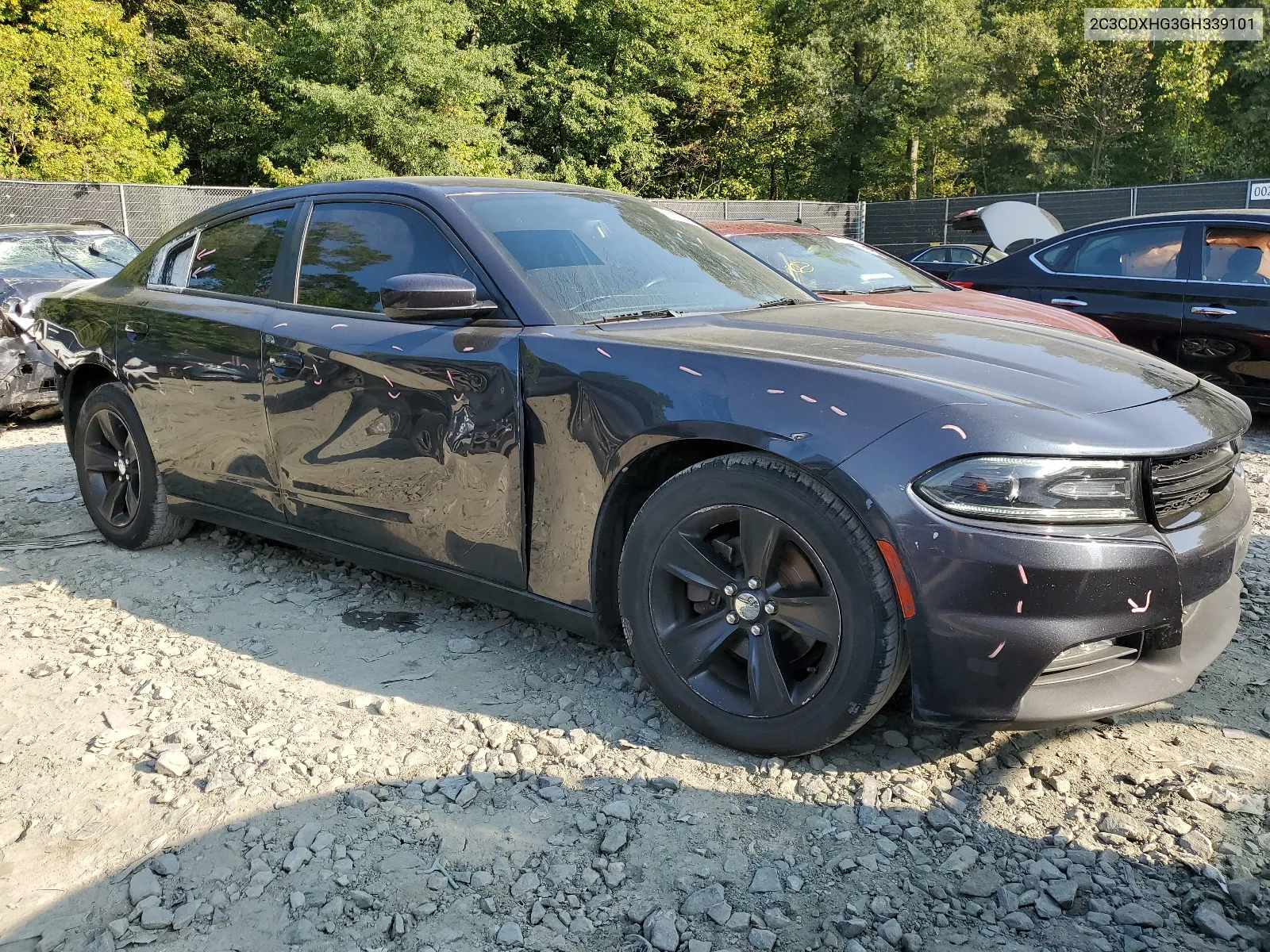 2016 Dodge Charger Sxt VIN: 2C3CDXHG3GH339101 Lot: 67478594