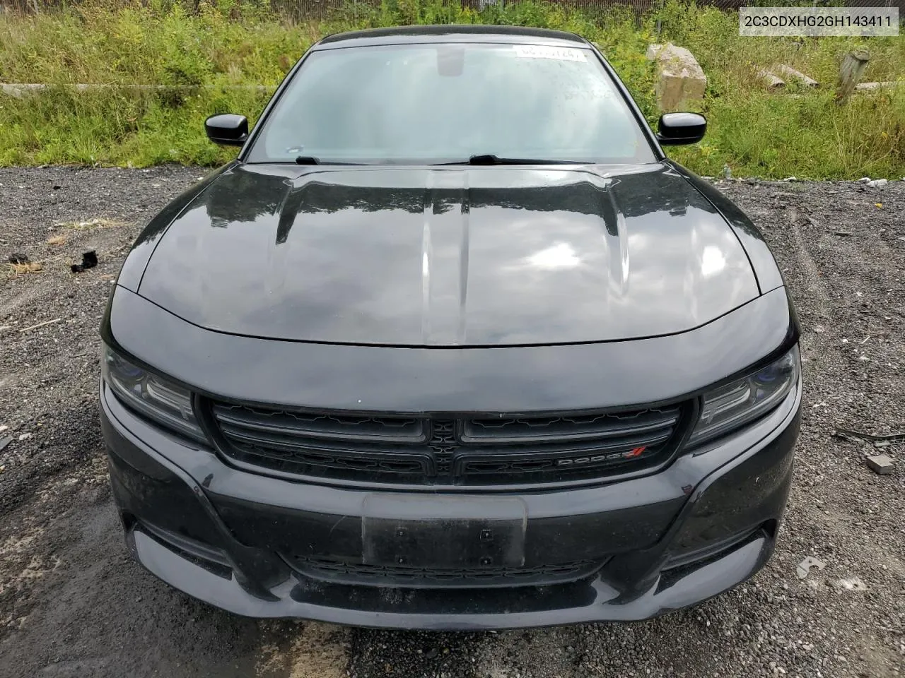 2C3CDXHG2GH143411 2016 Dodge Charger Sxt