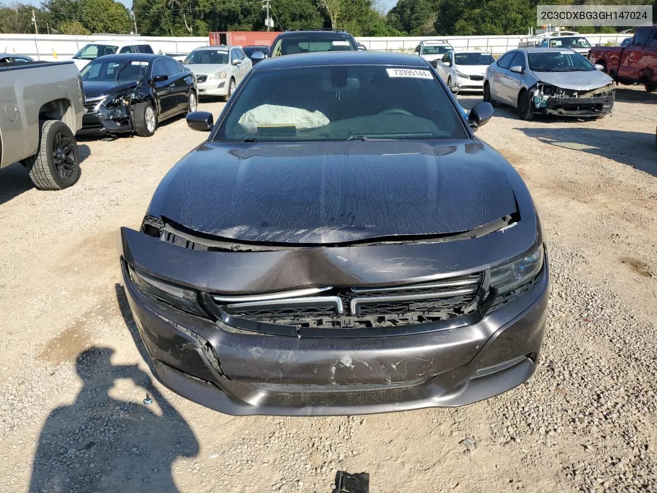 2C3CDXBG3GH147024 2016 Dodge Charger Se