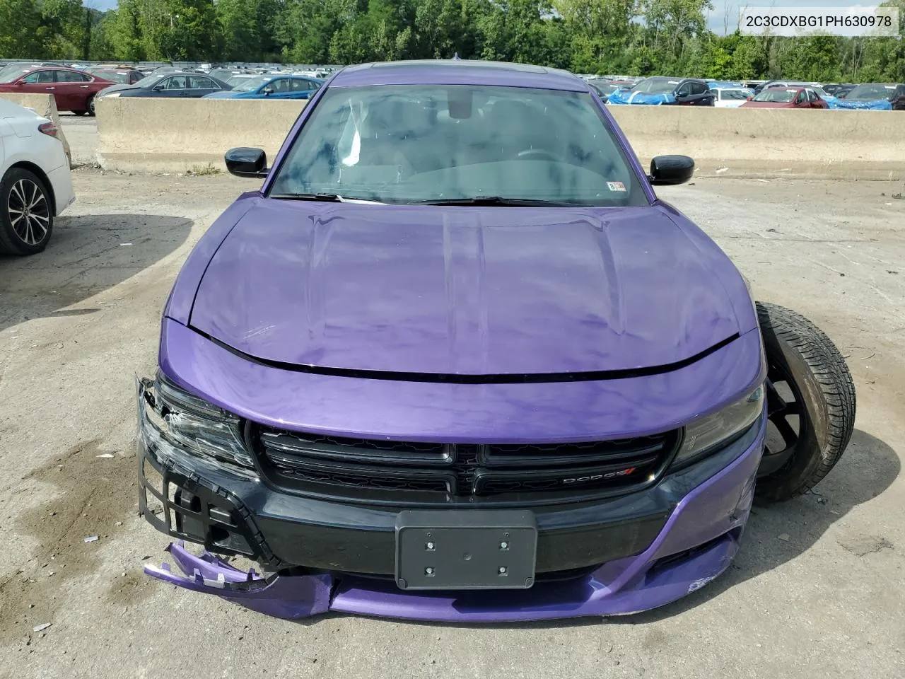 2023 Dodge Charger Sxt VIN: 2C3CDXBG1PH630978 Lot: 68549974