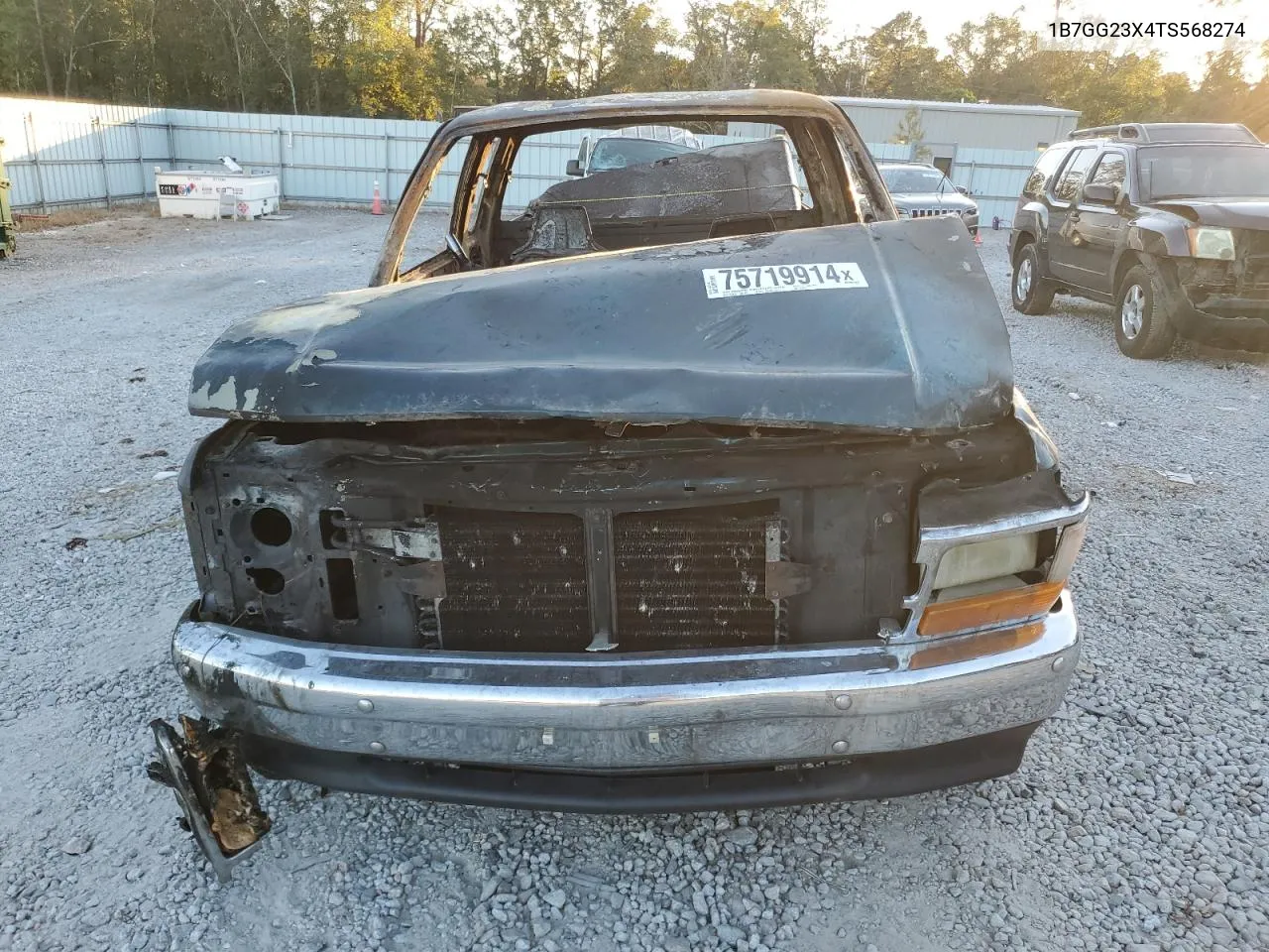 1996 Dodge Dakota VIN: 1B7GG23X4TS568274 Lot: 75719914