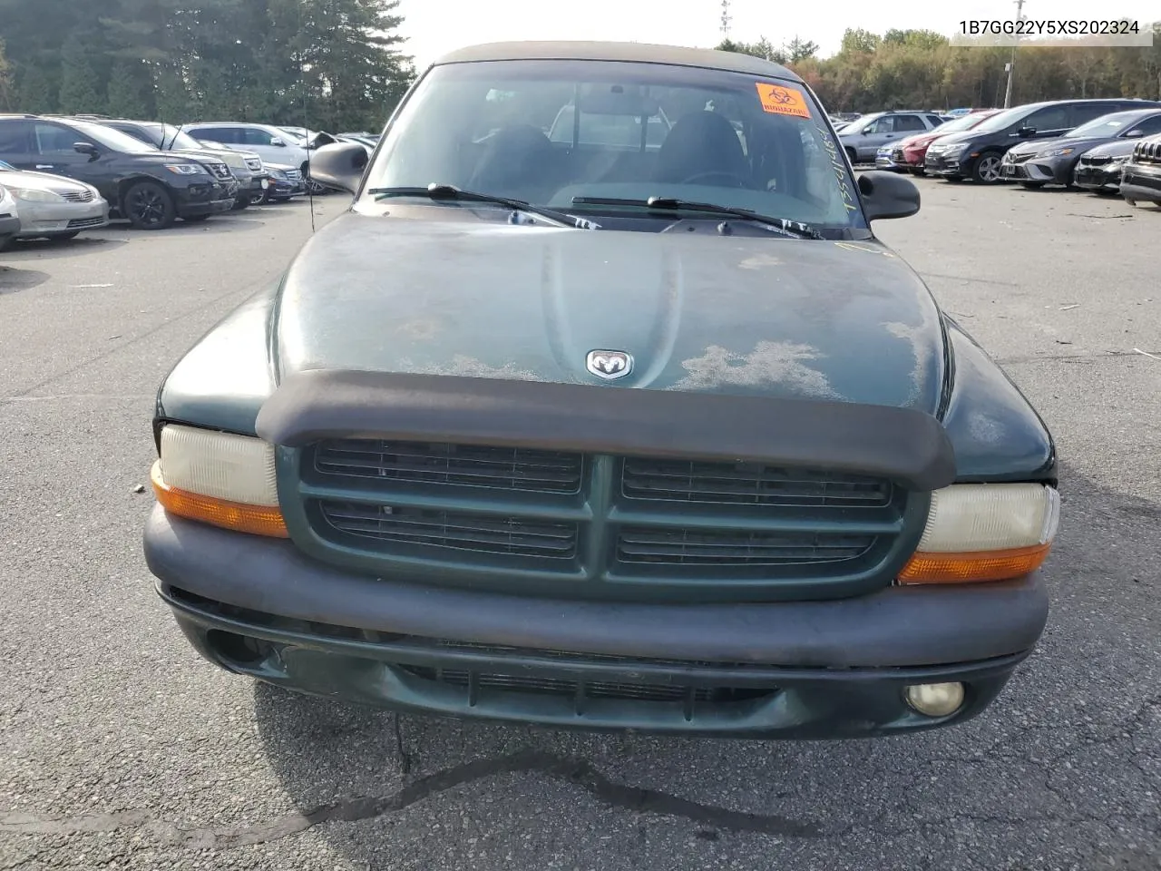 1999 Dodge Dakota VIN: 1B7GG22Y5XS202324 Lot: 73541484