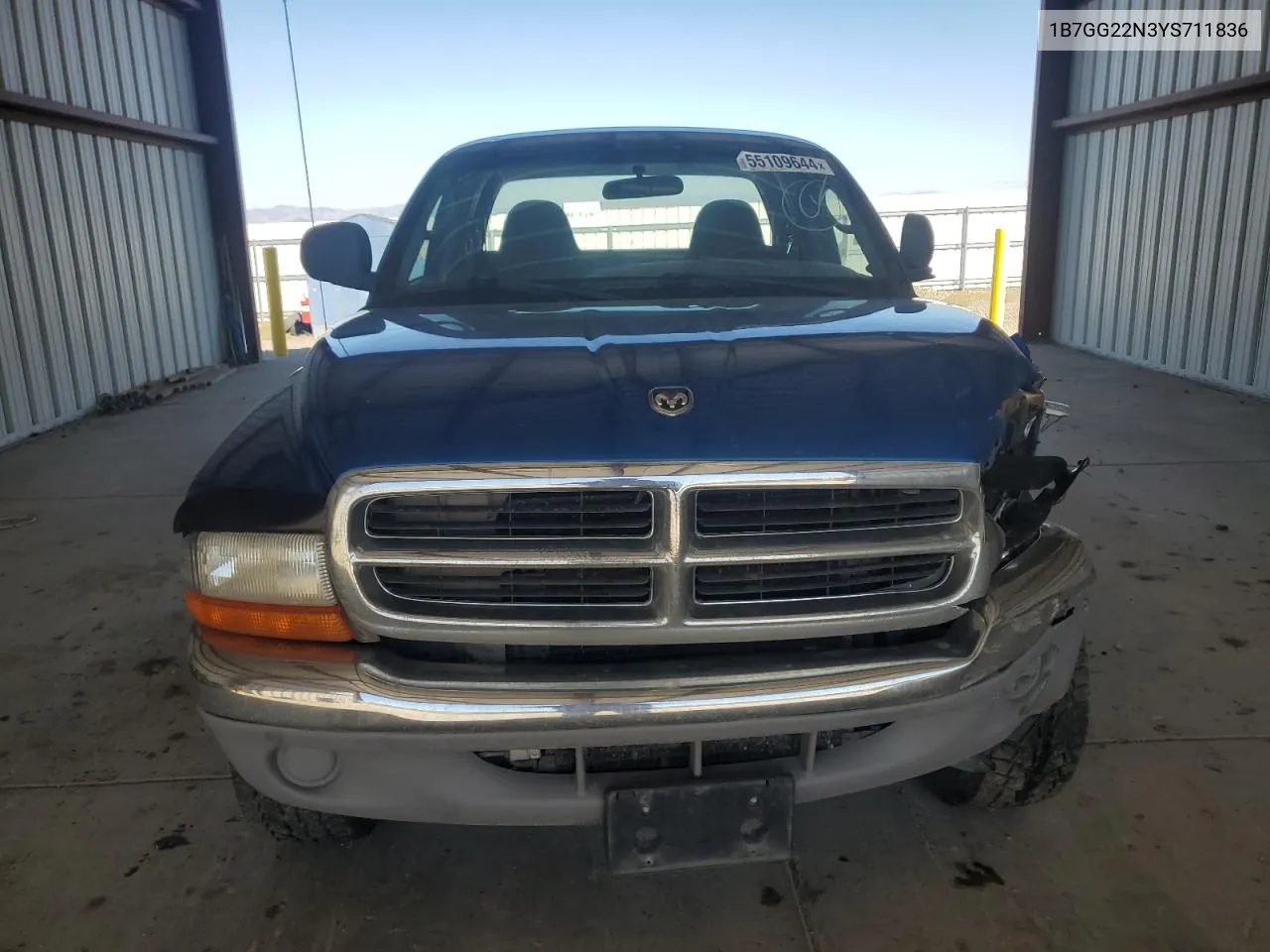 2000 Dodge Dakota VIN: 1B7GG22N3YS711836 Lot: 55109644