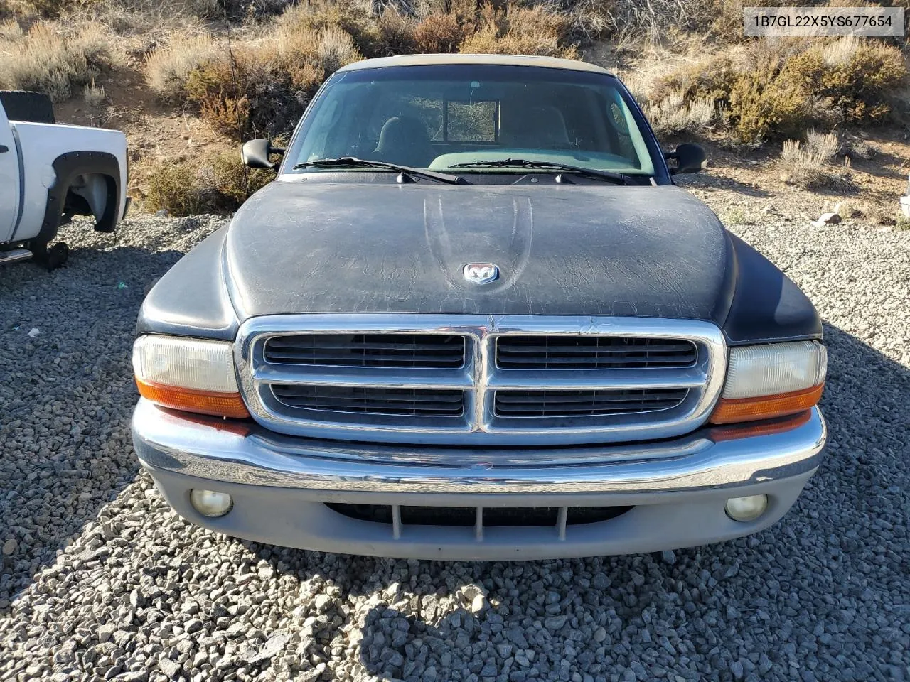 2000 Dodge Dakota VIN: 1B7GL22X5YS677654 Lot: 79538194