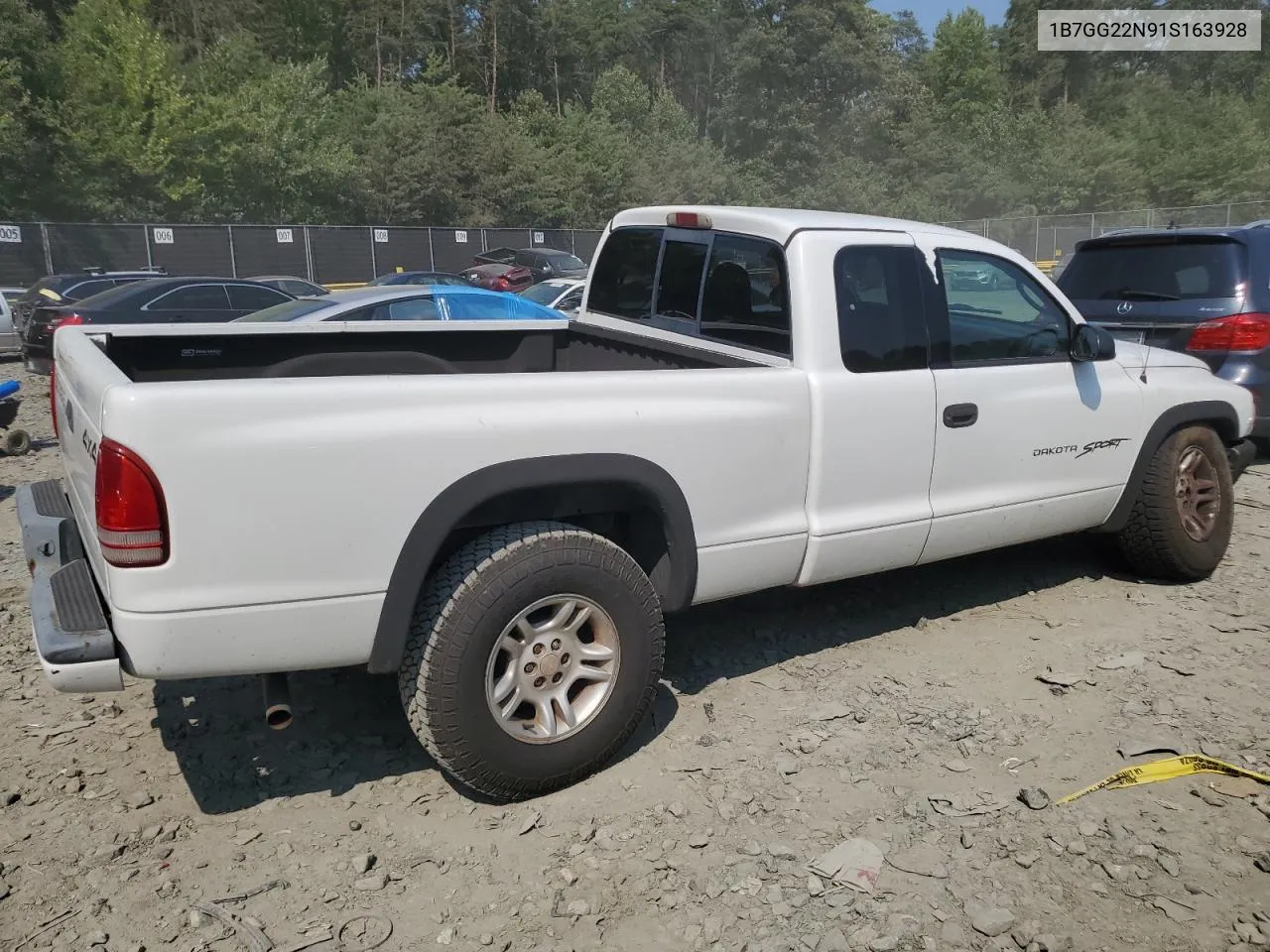 2001 Dodge Dakota VIN: 1B7GG22N91S163928 Lot: 65790124