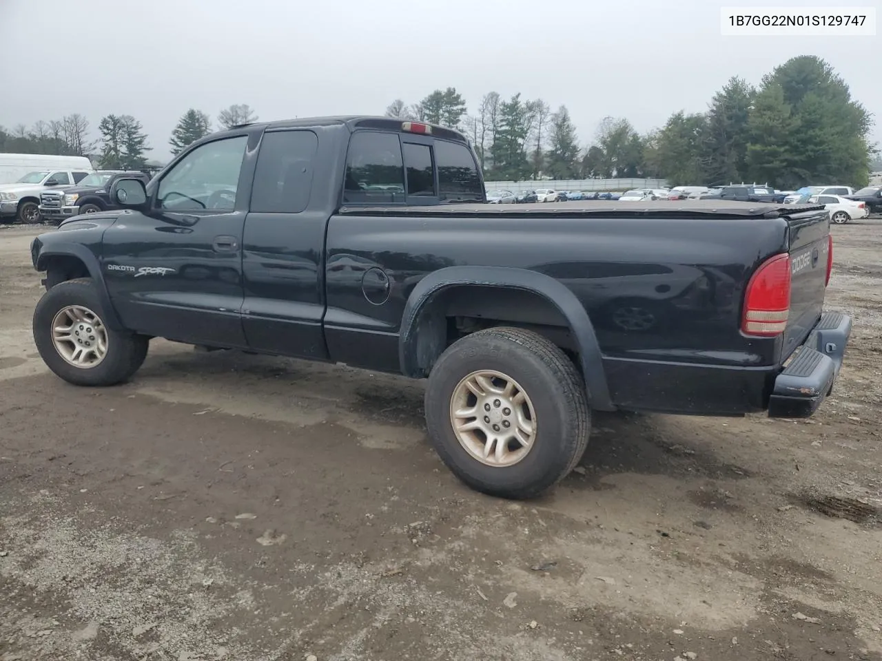 2001 Dodge Dakota VIN: 1B7GG22N01S129747 Lot: 74132454