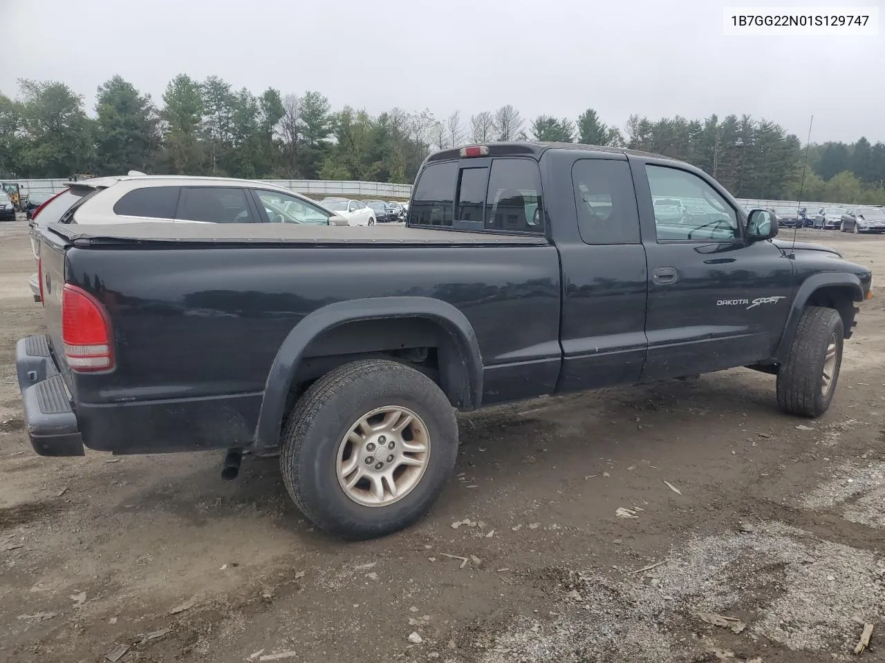 2001 Dodge Dakota VIN: 1B7GG22N01S129747 Lot: 74132454