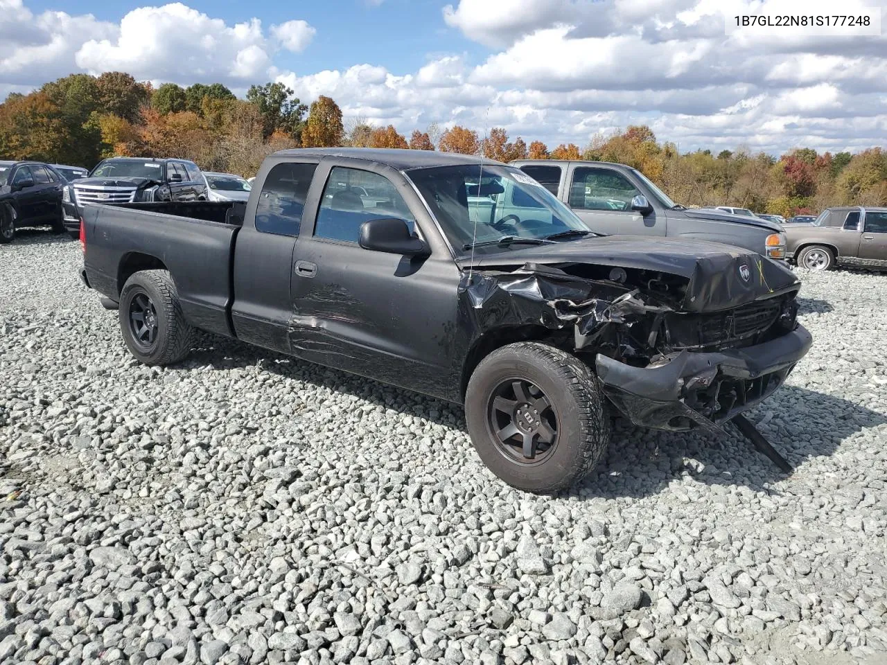 2001 Dodge Dakota VIN: 1B7GL22N81S177248 Lot: 78778424