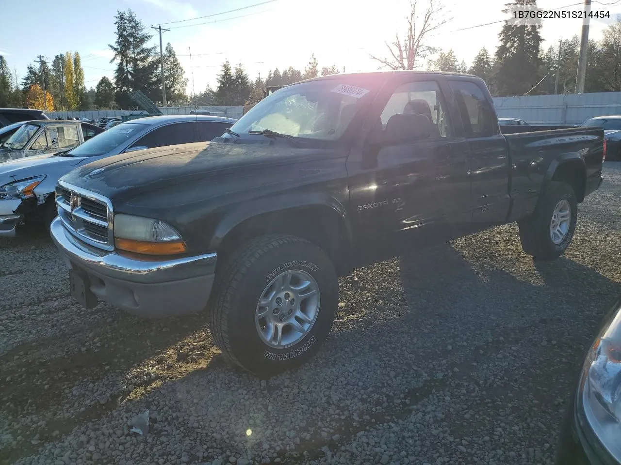 2001 Dodge Dakota VIN: 1B7GG22N51S214454 Lot: 79908974