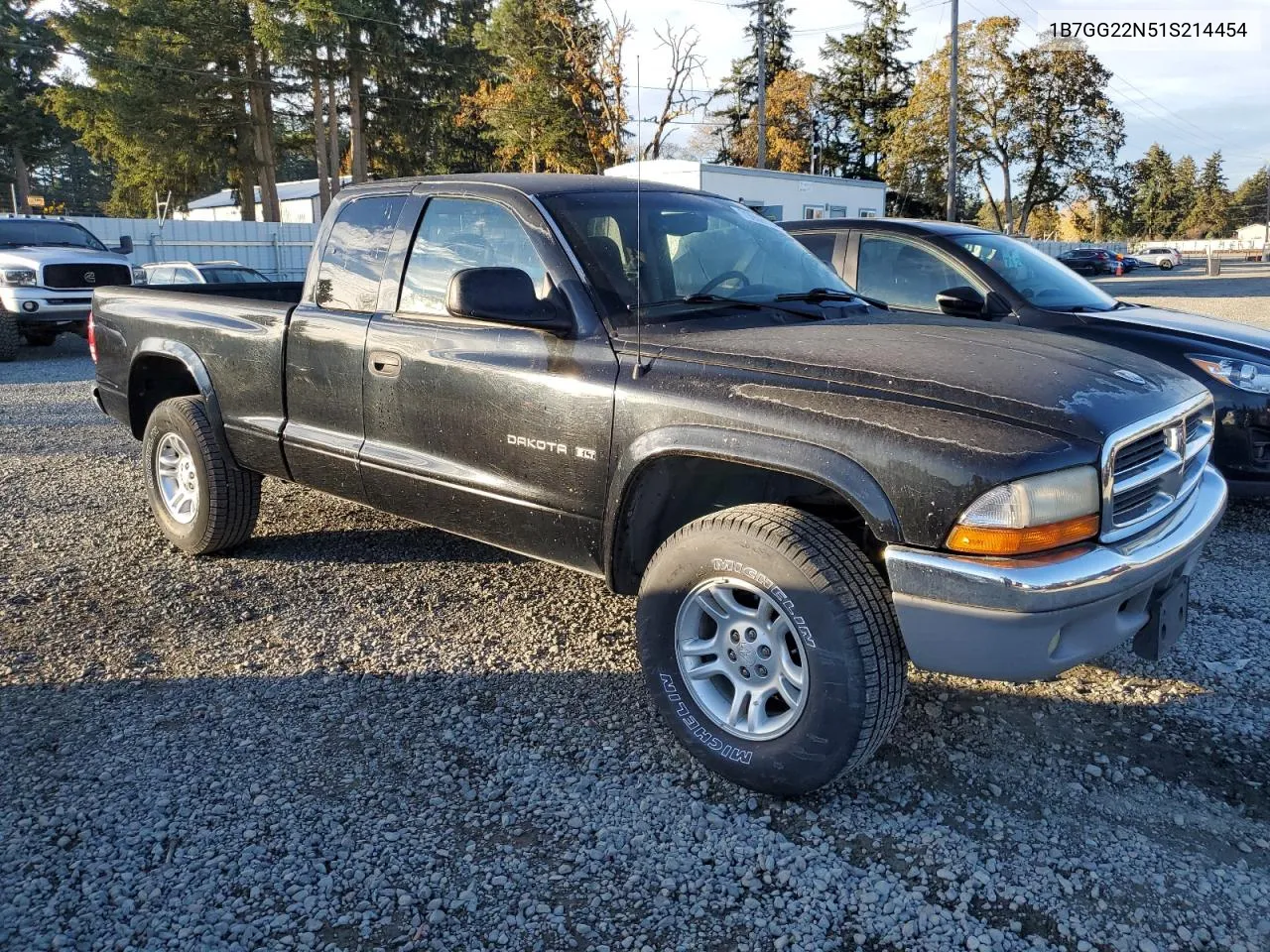 2001 Dodge Dakota VIN: 1B7GG22N51S214454 Lot: 79908974