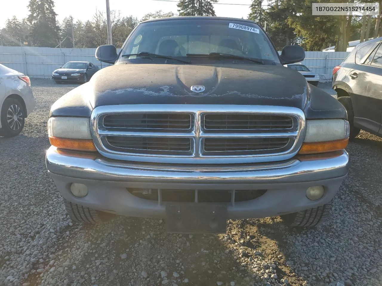 2001 Dodge Dakota VIN: 1B7GG22N51S214454 Lot: 79908974